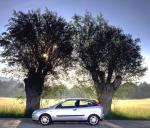 Ford Focus 1999 года